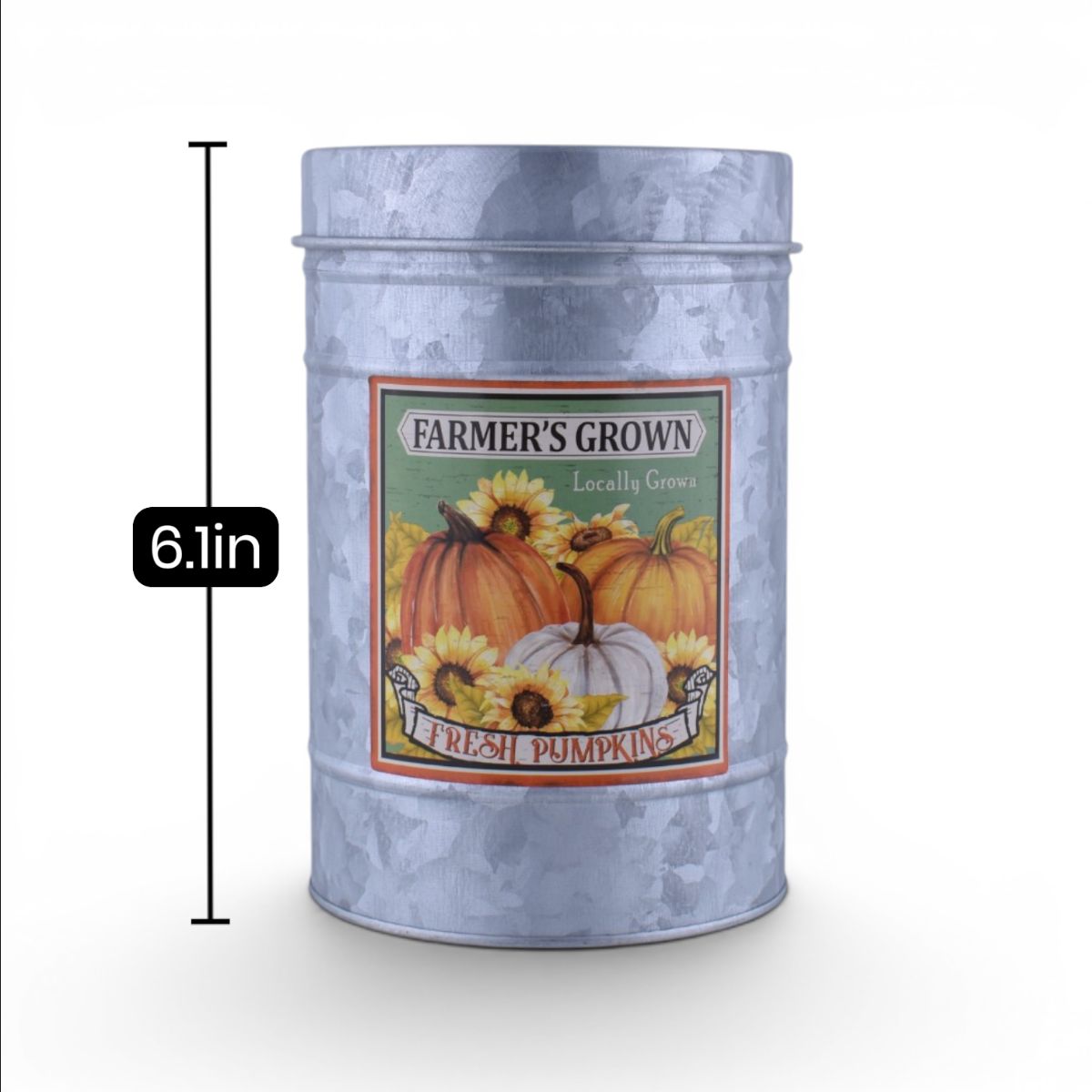 Decorative Container - Fresh Pumpkins Locally Grown