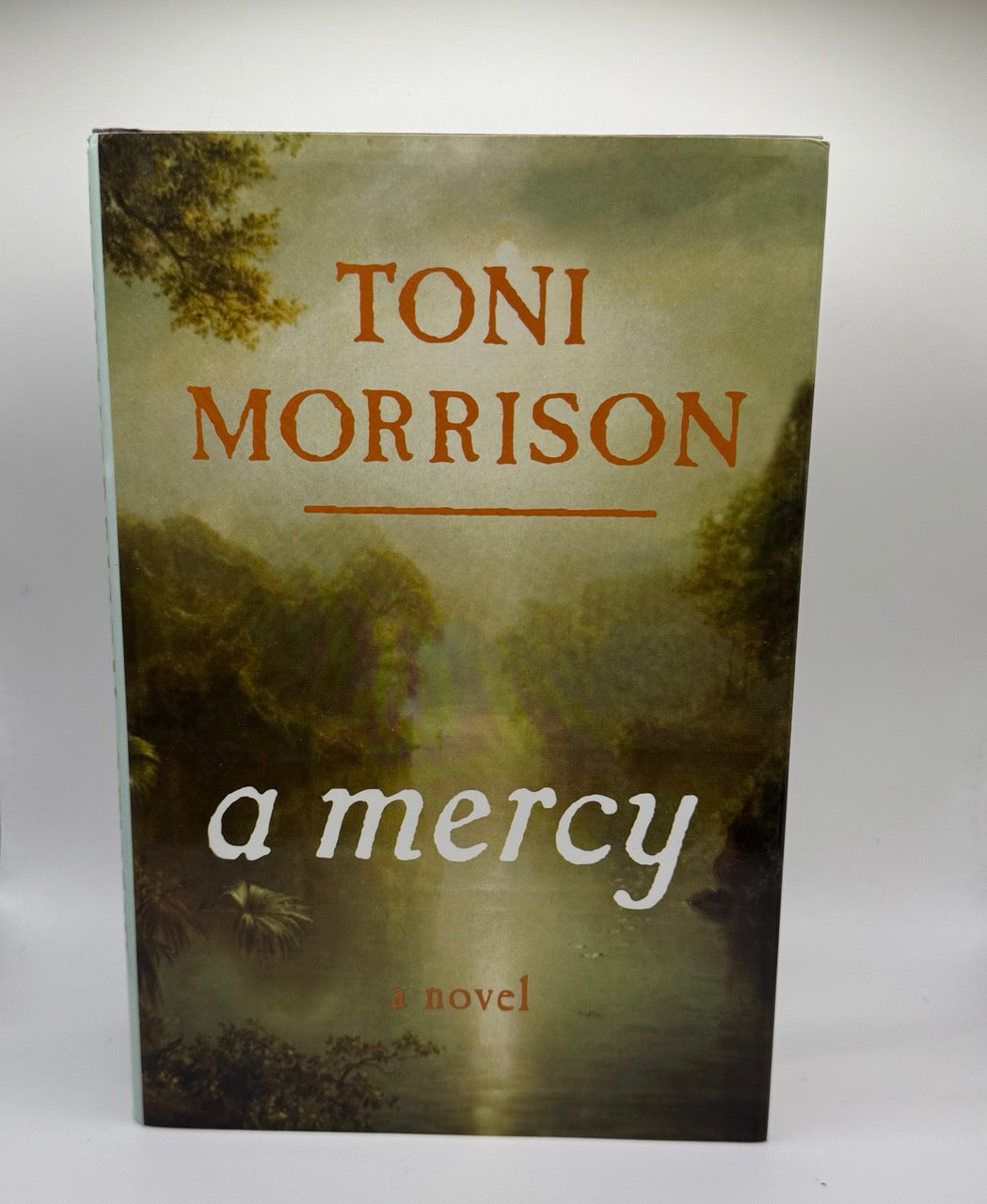 A Mercy by Toni Morrison