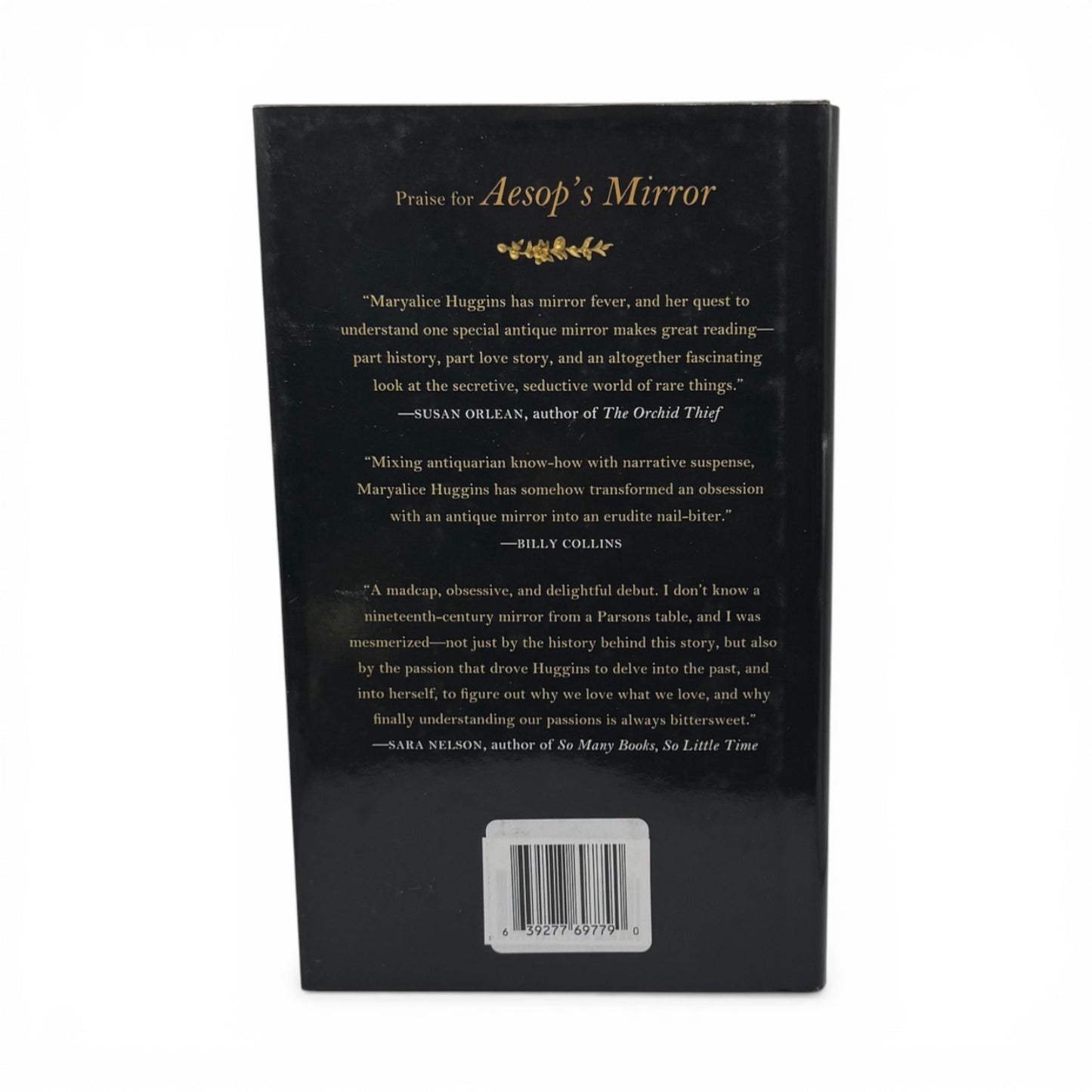 Aesop’s Mirror by Maryalice Huggins