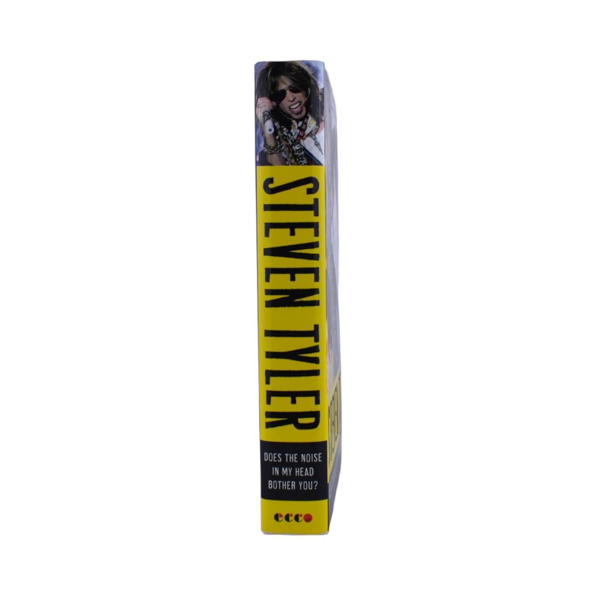 Does the Noise in My Head Bother You?: A Rock 'n' Roll Memoir by Steven Tyler