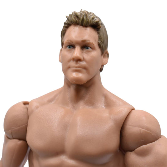 WWE Mattel Chris Jericho Green and Black Trunks Wrestling Action Figure