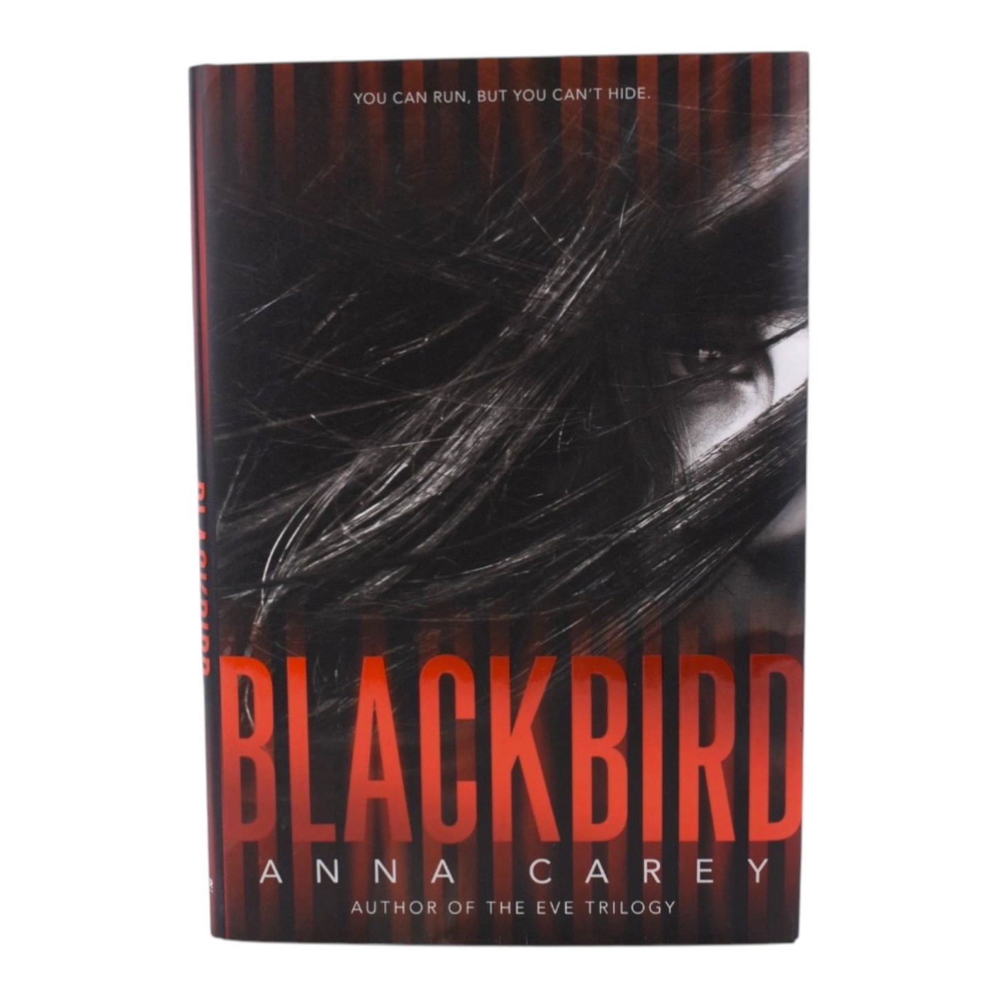 Blackbird by Anna Carey